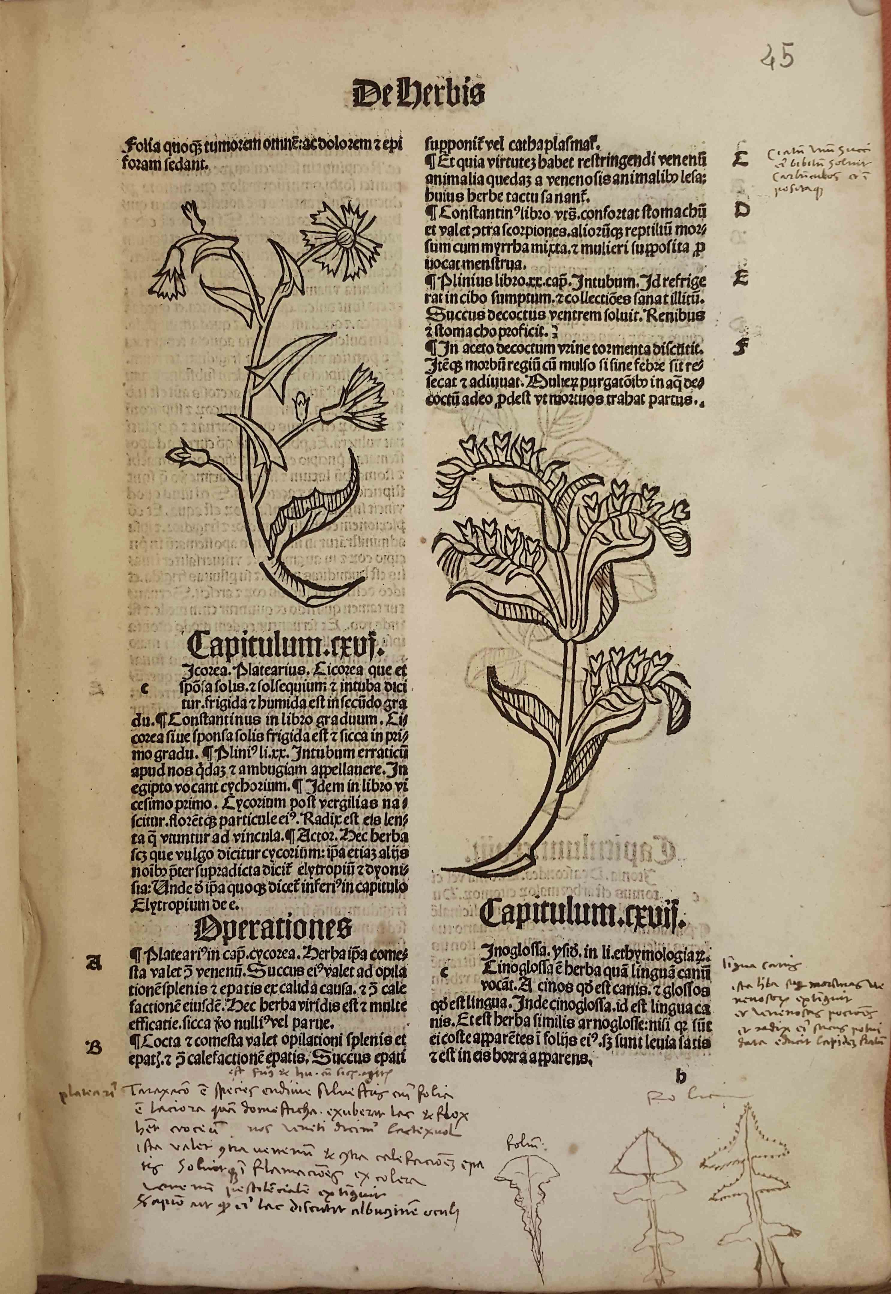 Inc.333 image-text completion