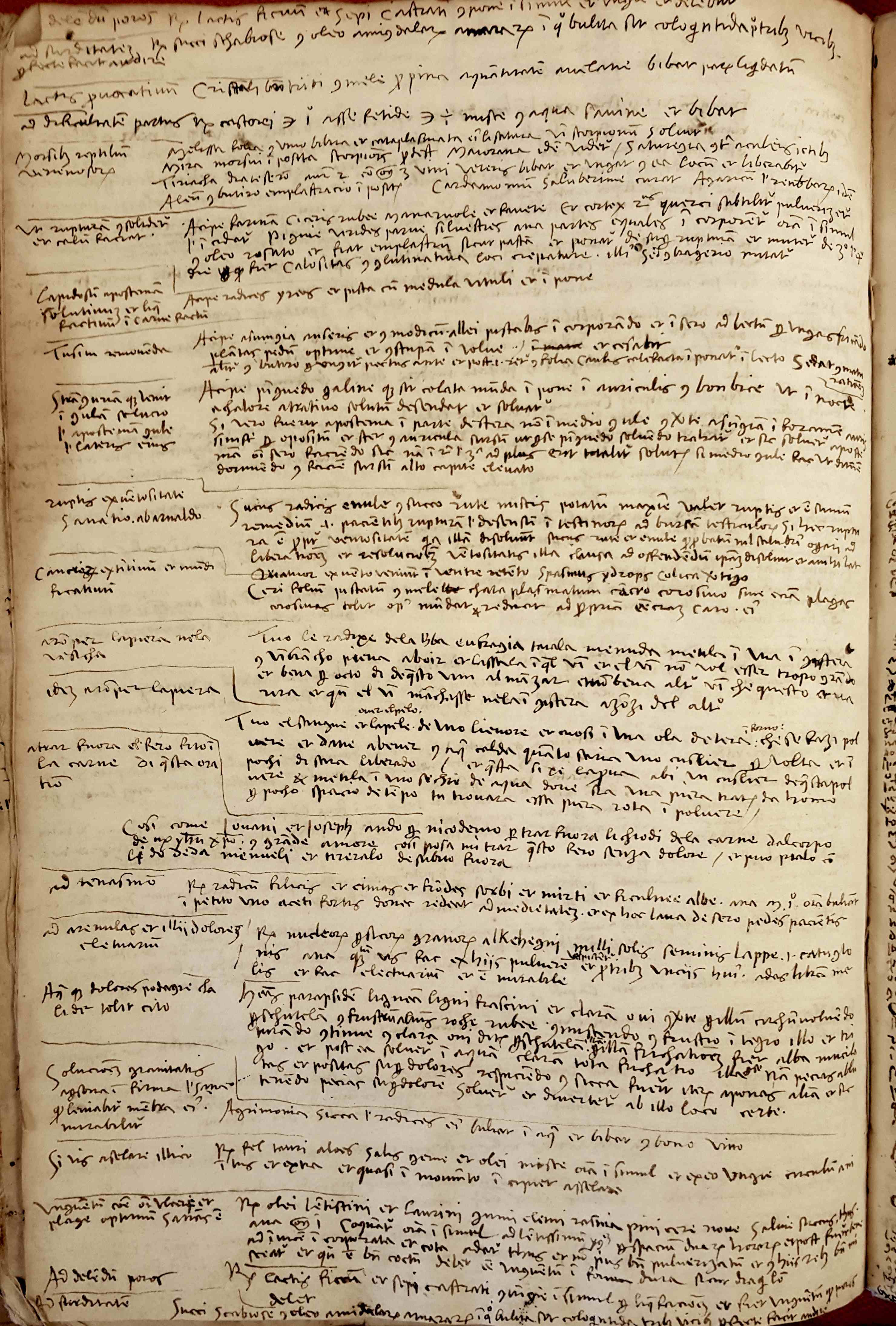 Inc.333 supplement-recipes at the end of Hortus sanitatis