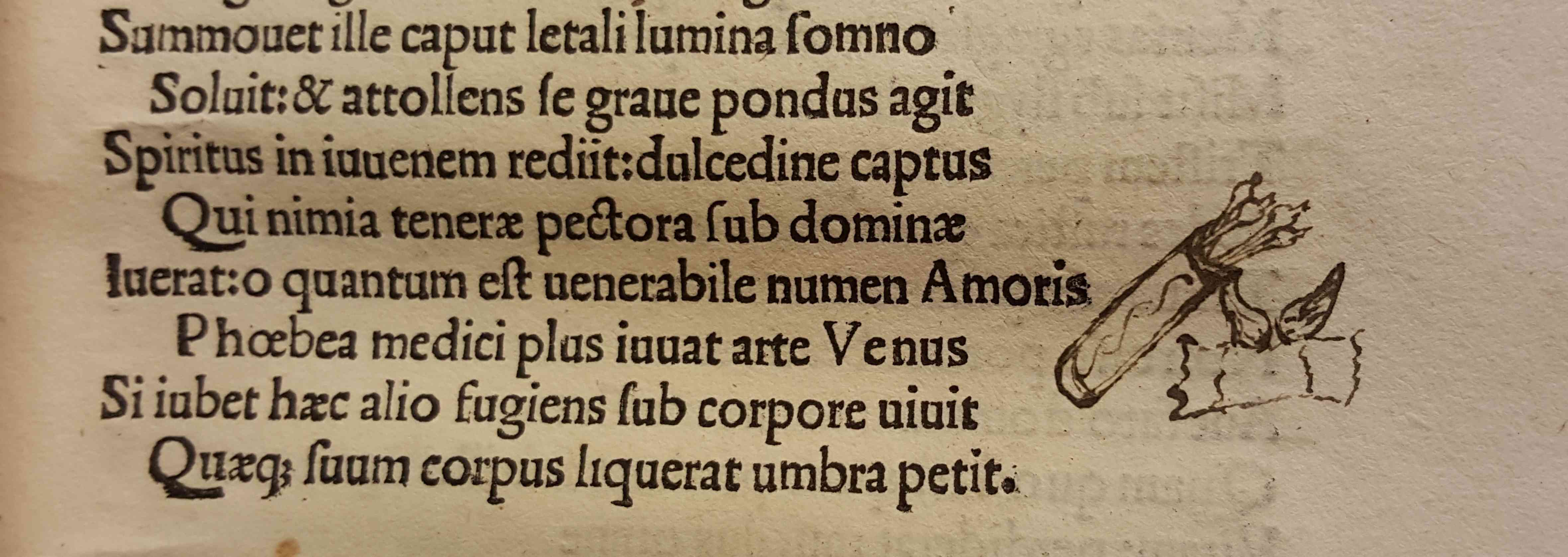 Rari 632 insigna amoris