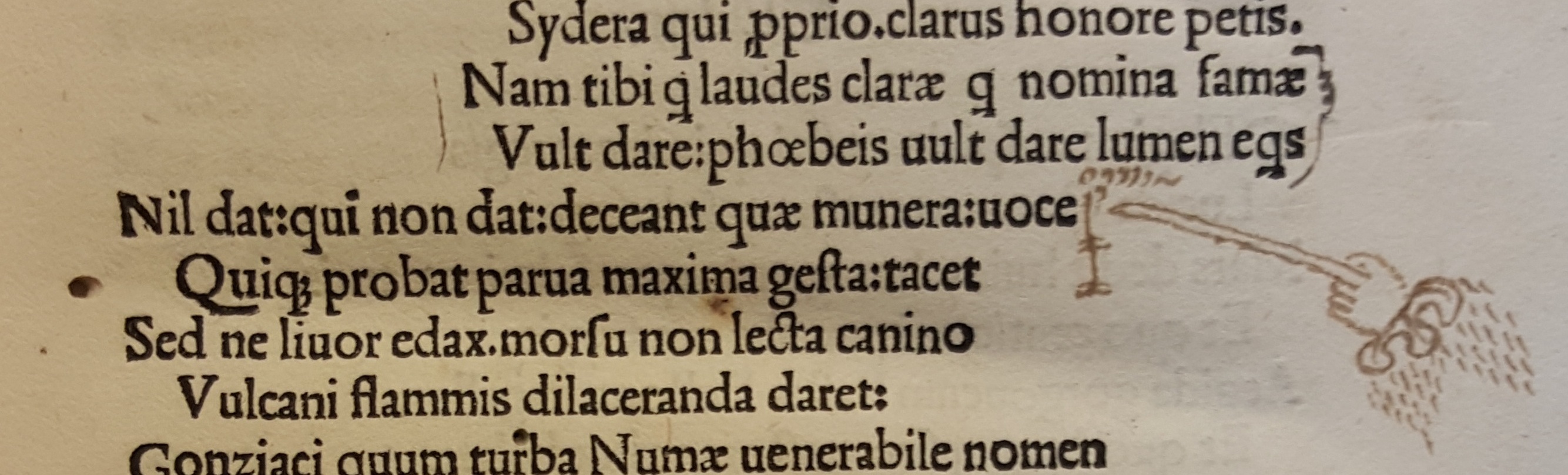 Rari 632 manicula1
