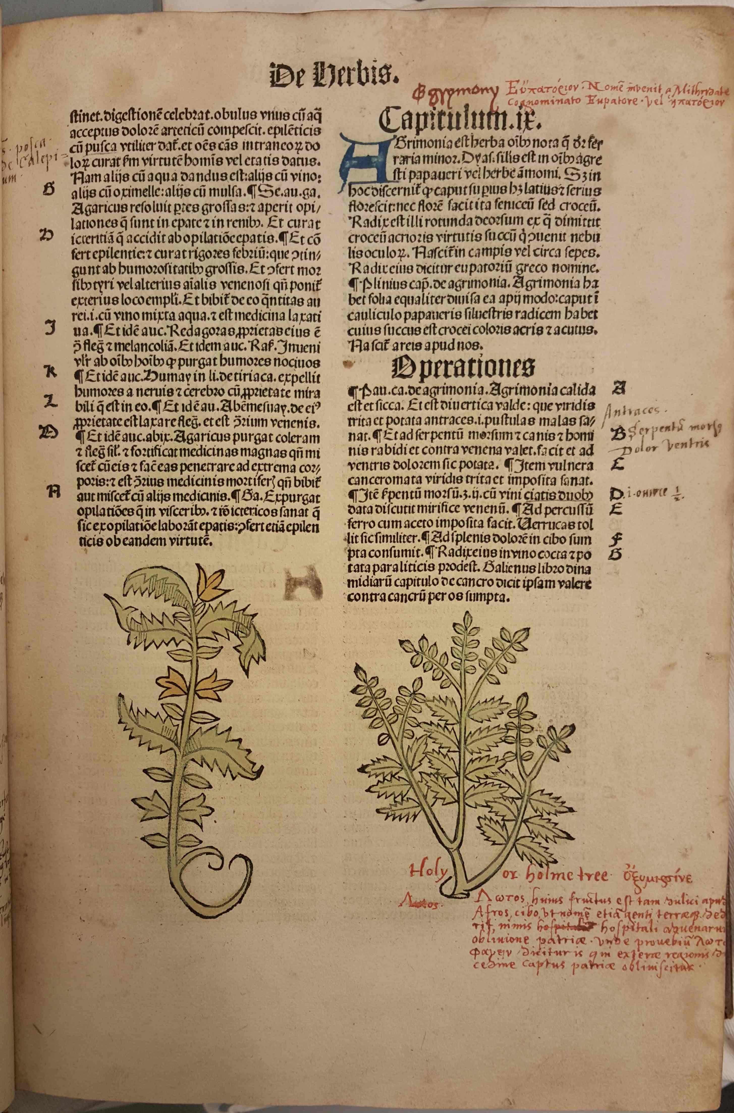 Well 3.d.11 supplement-translation