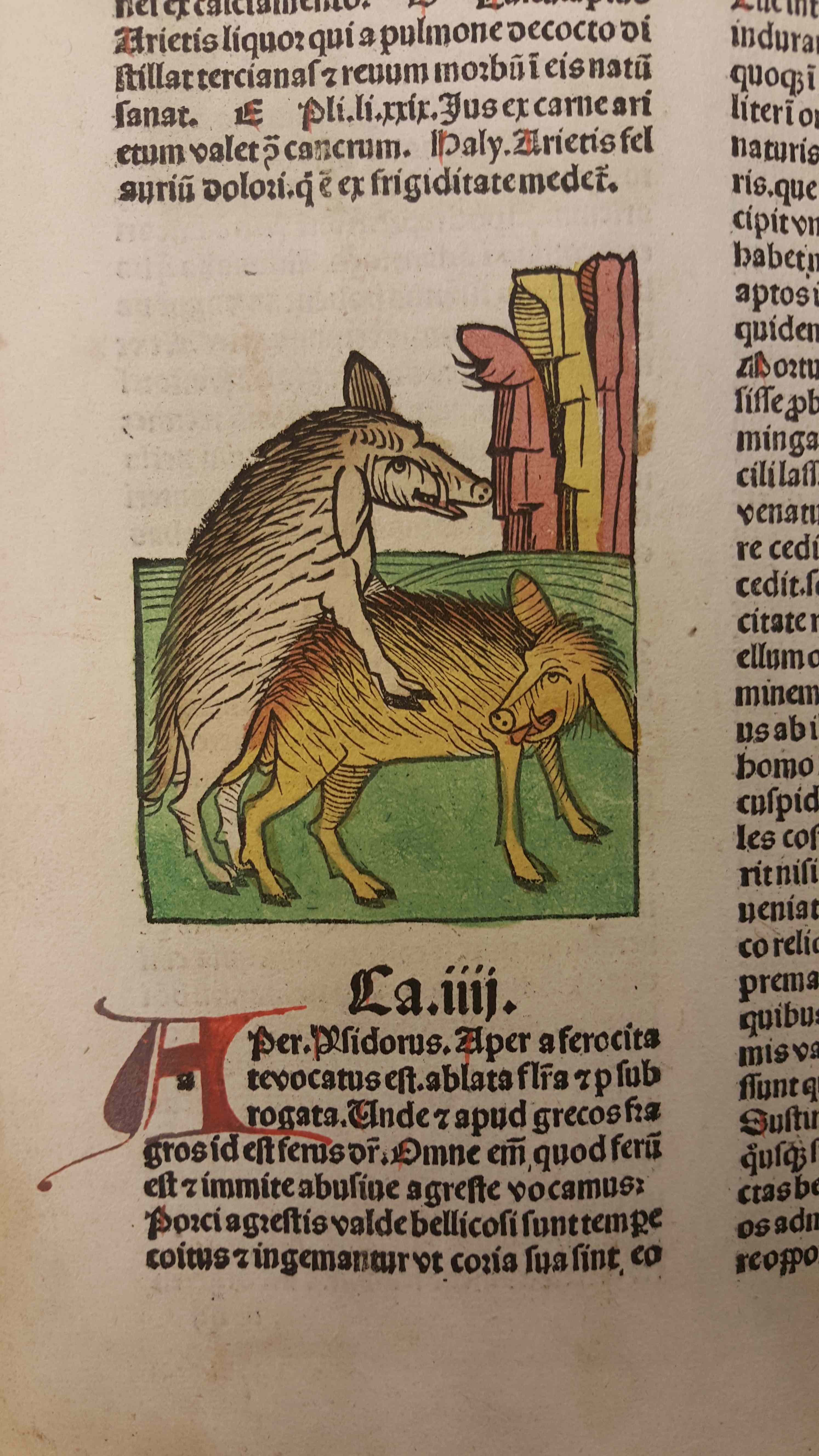 Well 5.e.12_hand colored woodcut