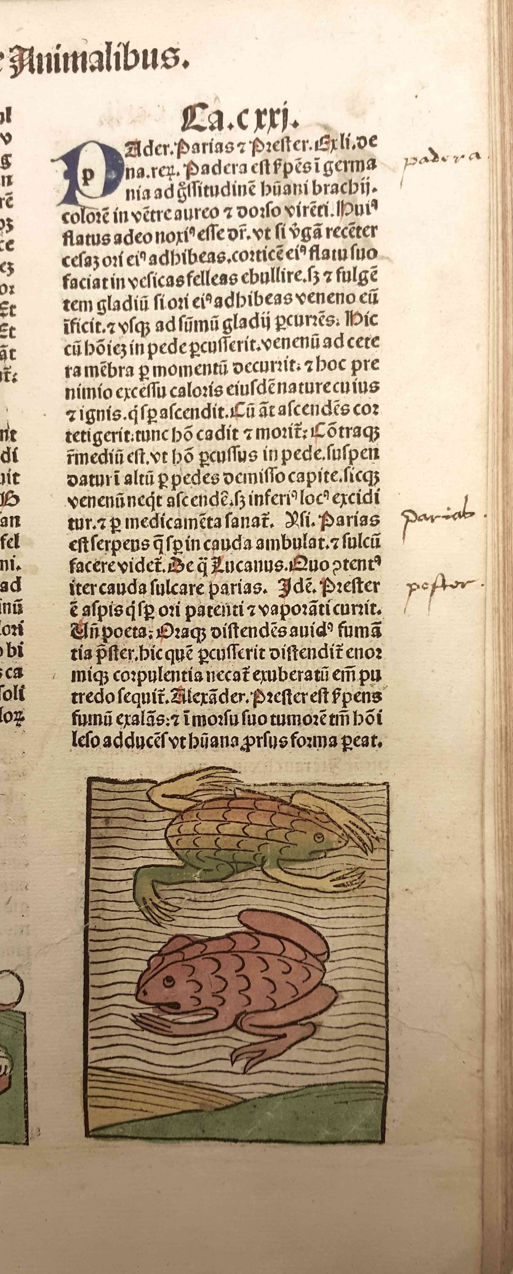 Well 5.e.12_hand colored